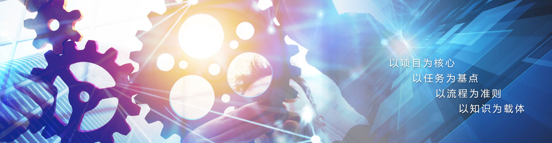 项目型制造/合同交付